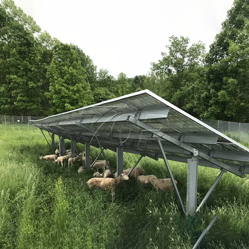 Pannelli solari per la fattoria: aiutare la sostenibilità energetica agricola a un livello superiore!