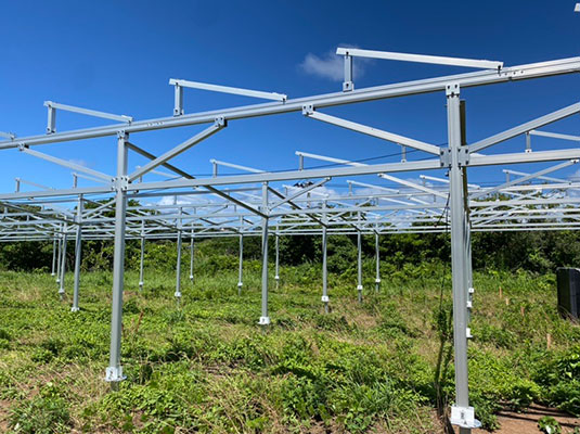Progetto in Giappone - Farm Shed